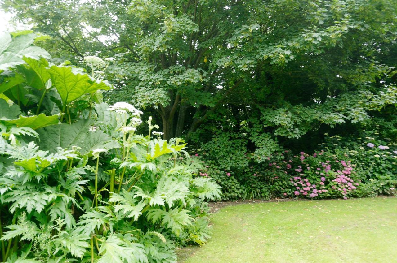 Le Cottage Bordeaux-Saint-Clair Zewnętrze zdjęcie